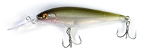 Medium Diver DT-8